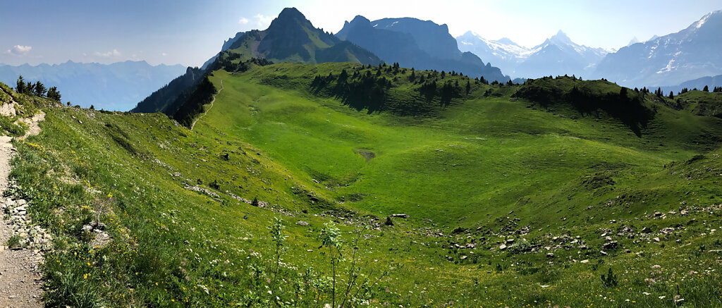 Schynige Platte